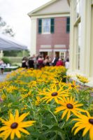 IMG_4186-1