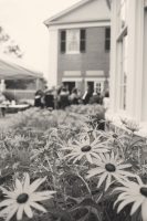IMG_4186a